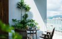 thiết kế nhà phố thoáng mát